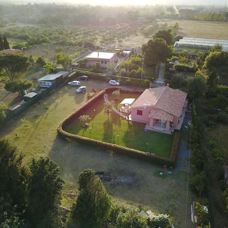 Bed and Breakfast Il Melograno Di Nora Pula Zewnętrze zdjęcie